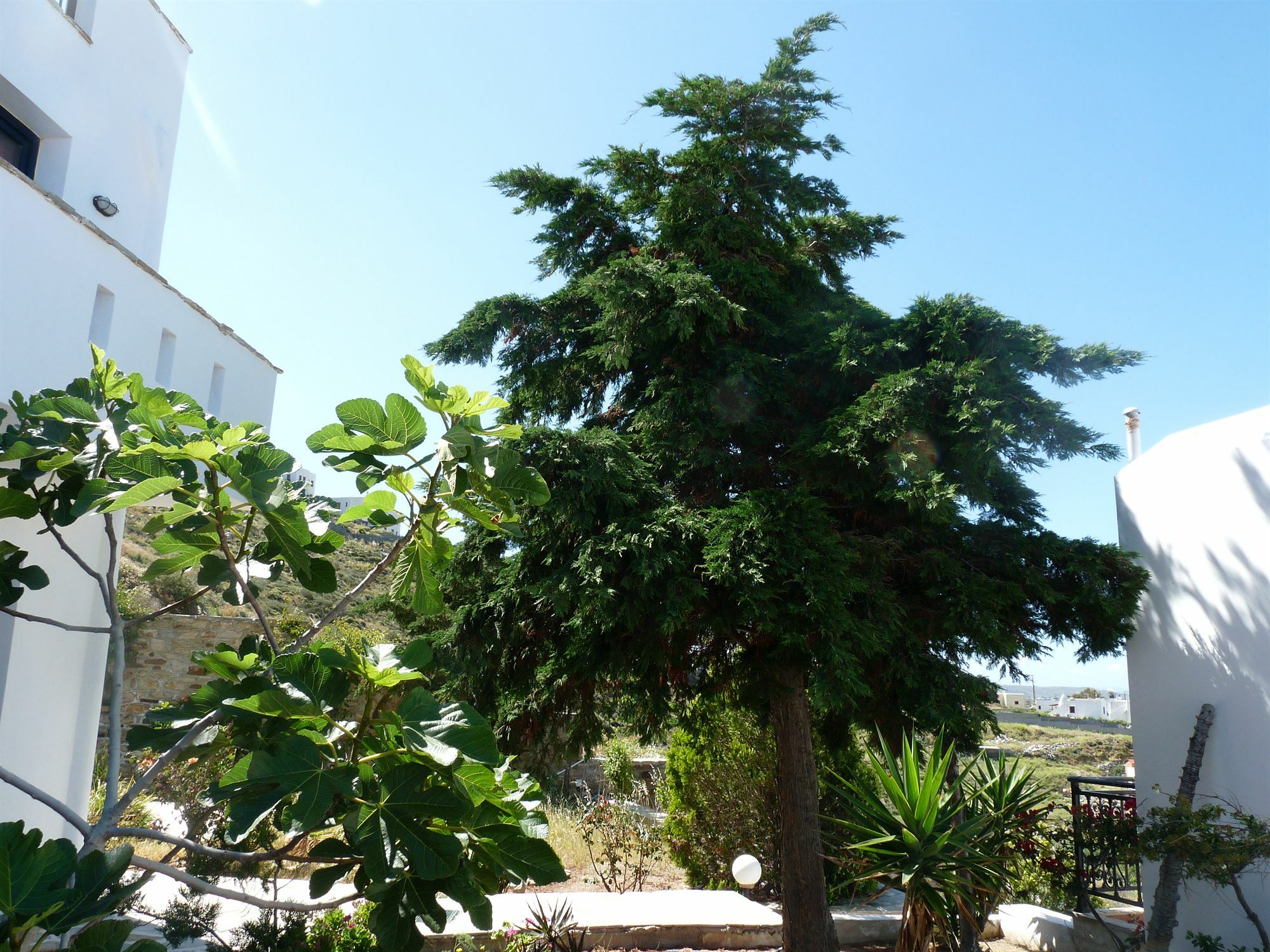 Paradisia Villas Naxos City Exteriér fotografie